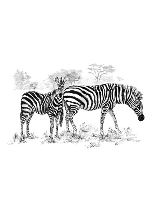Kreatív hobby - Zebra