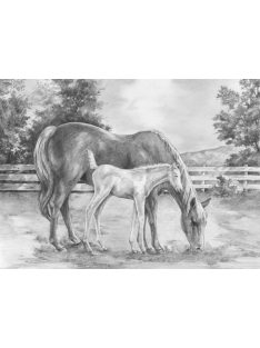 Kreatív hobby - Ló és kiscsikó