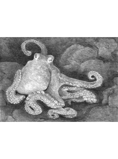 Kreatív hobby - Polip