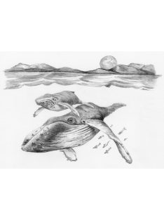 Kreatív hobby - Bálnák