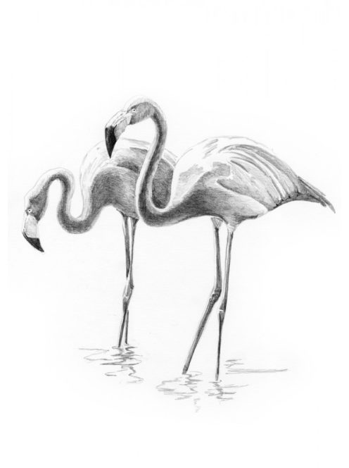 Mini Rajzkészlet - Flamingók