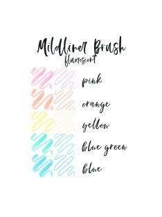   Zebra Mildliner Szövegkiemelő Szett - Ecsetvégű, 5 db-os Fluoreszkáló készlet