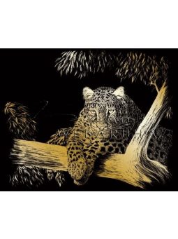 Képkarcoló - Karckép készítő - Művészi képekkel